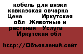 кобель для вязки-кавказская овчарка › Цена ­ ... - Иркутская обл. Животные и растения » Услуги   . Иркутская обл.